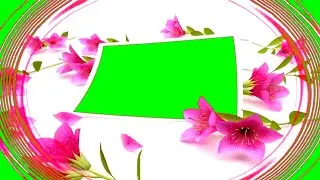 New 3D Wedding Green Screen Effects|Green Screen Status||Green   Background|Green Screen Template