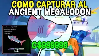 ¡Como PESCAR el Megalodón más EXOTICO Sin Cebo en [Fisch] [Roblox]!😱