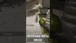 Интересные Факты про CS2! 