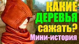 ArcheAge. Гайд. Какие деревья выгодней сажать?