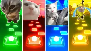 Chipi Chipi Chapa Chapa Cat vs Vibing Cat vs Driving Cat vs Banana Cat - Tiles Hop EDM Rush