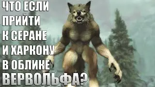 Что Будет Если в Форме Вервольфа Прийти к Серане и Харкону? Skyrim