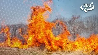 Standing in the Flames of a Prescribed Burn