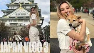 Japan's Best Doggo, Visit to Osaka Castle I Holly Wolf