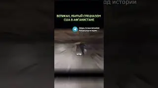Великан, убитый спецназом США в Афганистане 