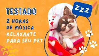 2 horas de música relaxante para acalmar cachorro - music relax dog #shorts