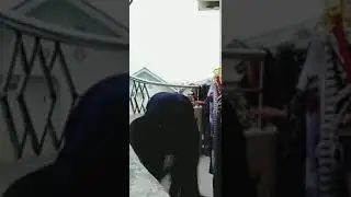 hamil muda bikin ngaceng