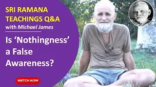 Going Within: Is the Perception of Emptiness or Nothingness a False Awareness?