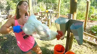 GIANT CHICKEN Is Too Big To Harvest!!