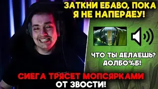 СИЕГА ТРЯСЕТ МОПСЯРКАМИ ОТ ЗВОСТИ! / LenaGolovach support 4700 mmr 7.37b / feemaDOTA2