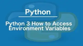 Python 3 How to Access environment variables