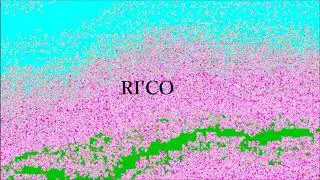 RI’CO - Evolve