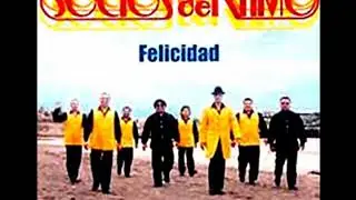 Felicidad - Los Socios Del Ritmo