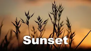 Sunset No Copyright Music || Nature Background No Copyright Music || No Copyright Background Music ✅