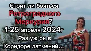 Стоит ли бояться Ретроградного Меркурия? 1-25 апреля 2024г