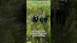 remote operated robot mower para sa mga burol, chinese pinakamahusay na  radio control grass cutter