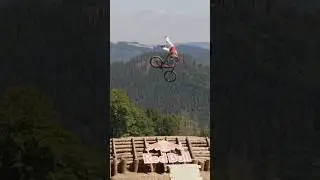 Biking Above The Trees 🤩