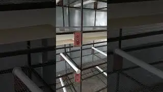 Новый птичник, клеточное содержание, пометоудаление.