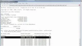08.08 Oracle_10gR2_DataGuard_8.8 Perform a Manual Failover Using Broker.avi