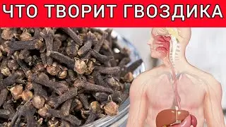 НАЧНИТЕ ЖЕВАТЬ по 2 БУТОНА ГВОЗДИКИ КАЖДЫЙ ДЕНЬ, И УВИДЕТЕ ЧТО ПРОИЗОЙДЁТ С ОРГАНИЗМОМ