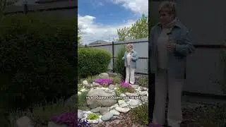 Показываю свою альпийскую горку!