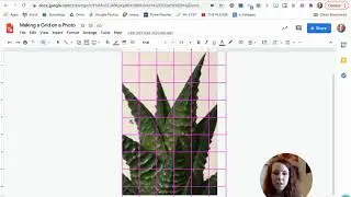 Making a Grid on a Photo - Google Drawings
