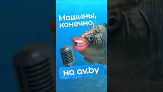 Возвращение легенды! 🐟😎А машины, конечно, на av.by 🚗 #авто #карп #якарп #avby #shorts