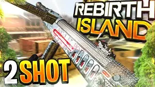 The Type 100 BEST CLASS SETUP For REBIRTH ISLAND!