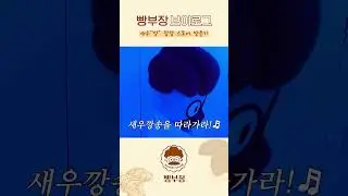 빵부장 브이로그 '새우깡 팝업스토어' EP.02 | 농심 #빵부장