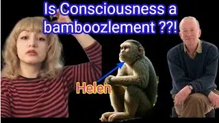 Is consciousness the result of the evolution by natural selection??  Nicholas Humphrey's new model