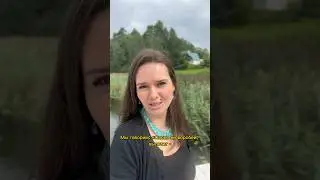 Что убивает мужчину? 