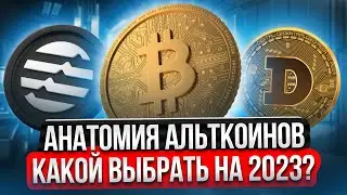 КАК ВЫБРАТЬ АЛЬТКОИН НА 2023 НА СОТНИ ИКСОВ!! АНАТОМИЯ МОНЕТ! БИТКОИН ПРОГНОЗ