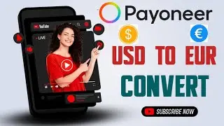 Payoneer USD to EUR Convert currency 2023