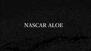 NASCAR ALOE - FUCK FASHION PUNKS (Prod luisproducedit)