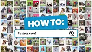 How to review content on Petinfluencer.ai