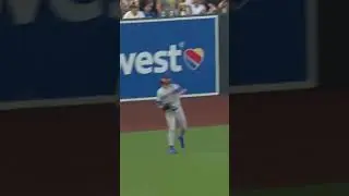 What a catch by Jesse Winker! 😱 #mlb #baseball #highlights #shorts #sports