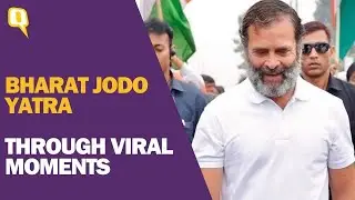 A Look Back At Congress’ 3,500-km Bharat Jodo Yatra | The Quint