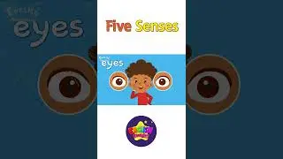 Kids vocabulary - Five Senses - Learn English for kids - English educational video #shorts