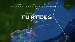 Ocean Frontiers II: Data Portal Layers