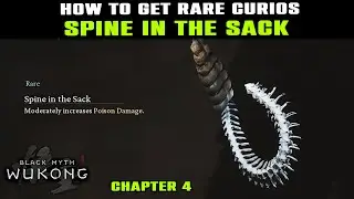 Poison Damage ITEM: SPINE IN THE SACK Curios Location Guide | Black Myth Wukong