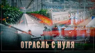 Отрасль создана с нуля: в России открыто 9 новых предприятий за май