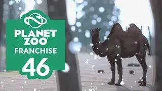 PLANET ZOO | EP. 46 - BETWEEN HUMP DAYS (Franchise Mode Lets Play)
