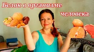 Роль #белка в организме человека