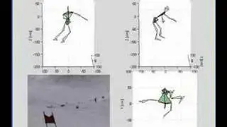 Ski race technique from many view points