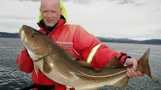 Рыбалка в ужасных водоворотах Saltstraumen.