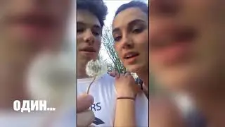 Что такое любовь? Одуванчик в рот