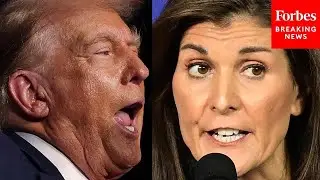 BREAKING NEWS: Nikki Haley Reacts To Trumps Vermin Comments Some Have Likened To Hitler