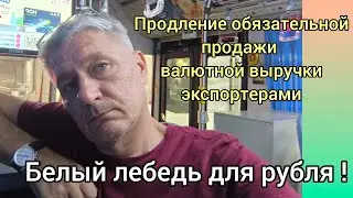 Продление обязательной продажи валютной выручки экспортерами - белый лебедь для рубля