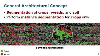 RAL-ICRA'22: Joint Plant and Leaf Instance Segmentation on Field-Scale UAV Imagery by Weyler et al.