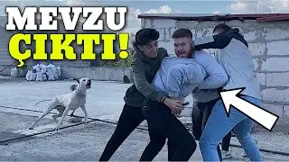 KÖPEKLERİNE LAF SÖYLEYİNCE ORTALIK KARIŞTI ŞAKANIN SONU KÖTÜ BİTTİ!